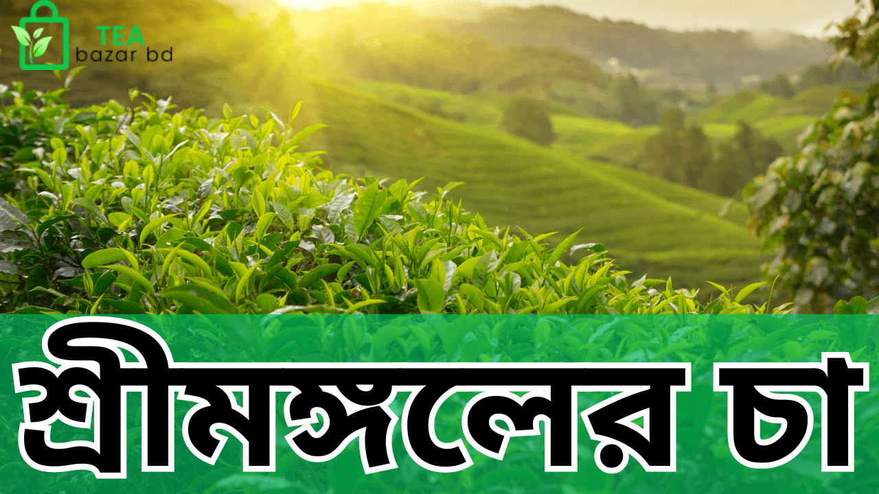 শ্রীমঙ্গলের চা