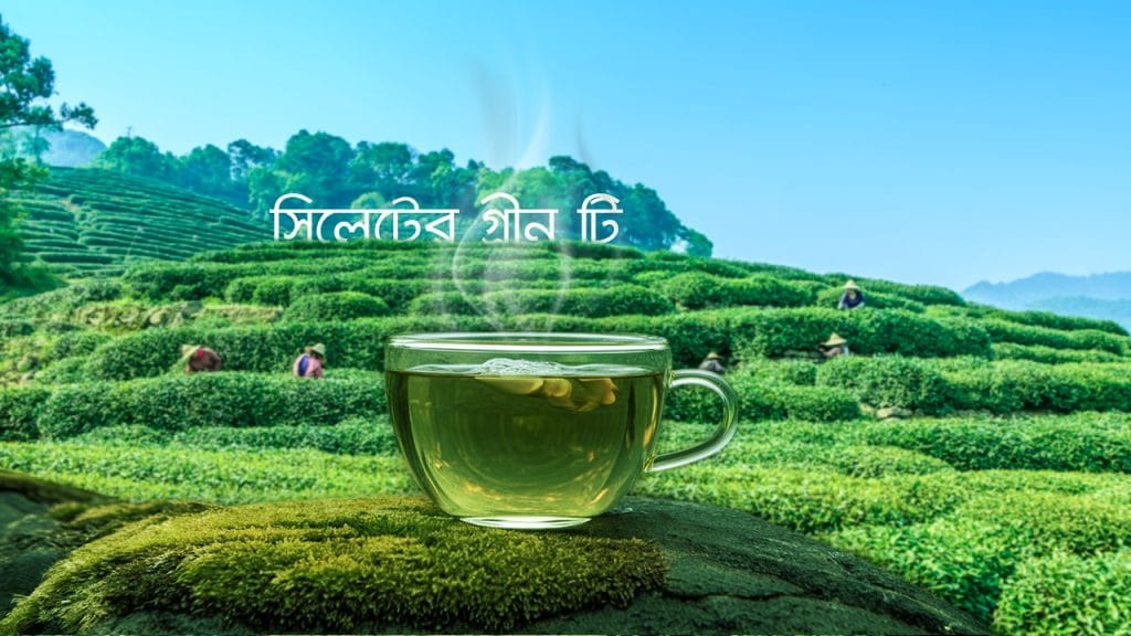 সিলেটের গ্রিন টি