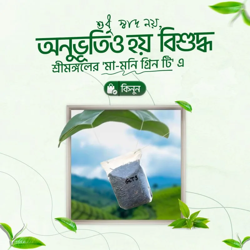 Mamoni-M-e1768752595522